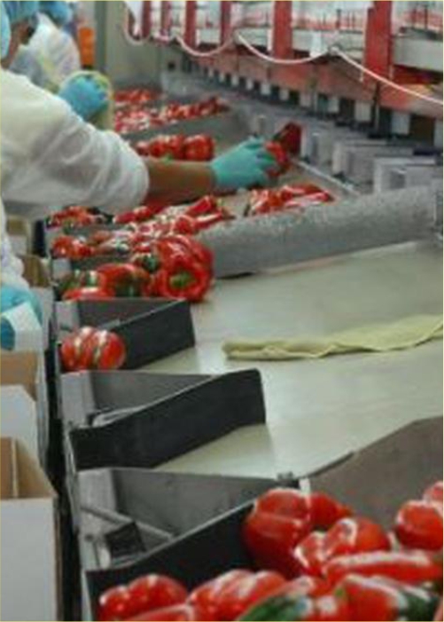 AGROINDUSTRIA1